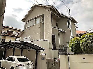 IMG_0194