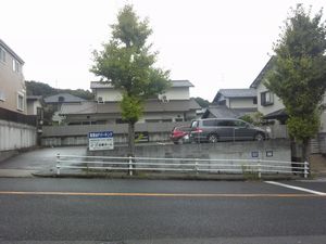fp32