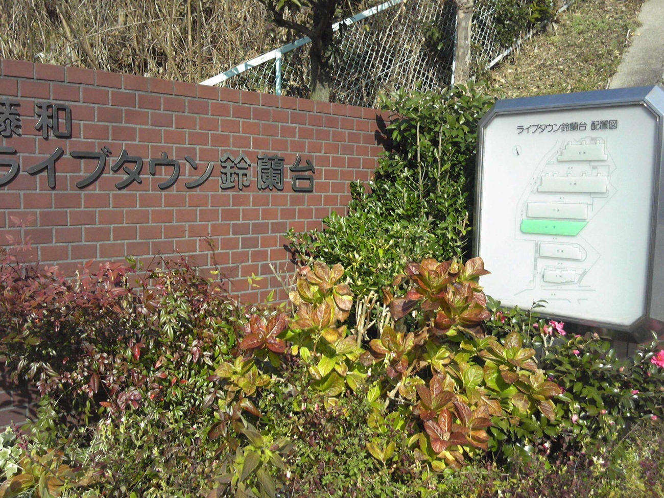jmlive32